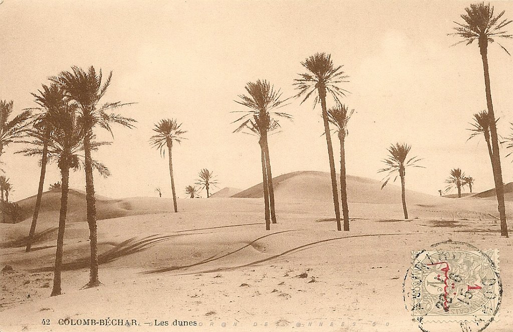 colomb bechar  (23).jpg